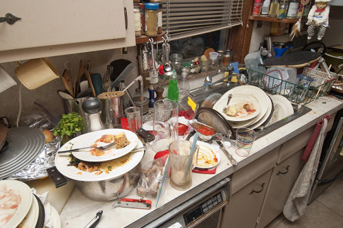 hoarding spoiled food odor removal alexandria fairfax woodbridge va