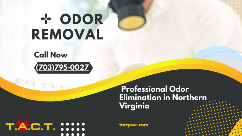 Odor Removal- Professional Methods To Eliminate Tough Smells