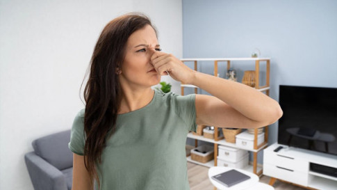 Odor Removal Services in Crystal City, Fairfax, Centreville, Arlington, VA, Washington, D.C., Foggy Bottom, and Surrounding Areas