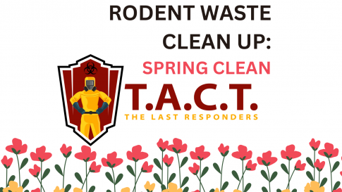 Rodent Dropping Clean Up Services: FAQs Answered