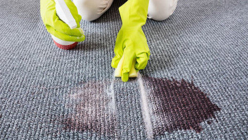 Trauma Cleanup in Seven Corners, Lake Ridge, Centreville, Dumfries, VA, and Surrounding Areas